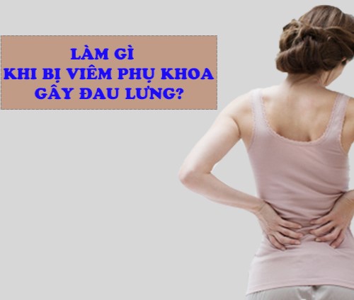 Làm gì khi bị viêm phụ khoa gây đau lưng?
